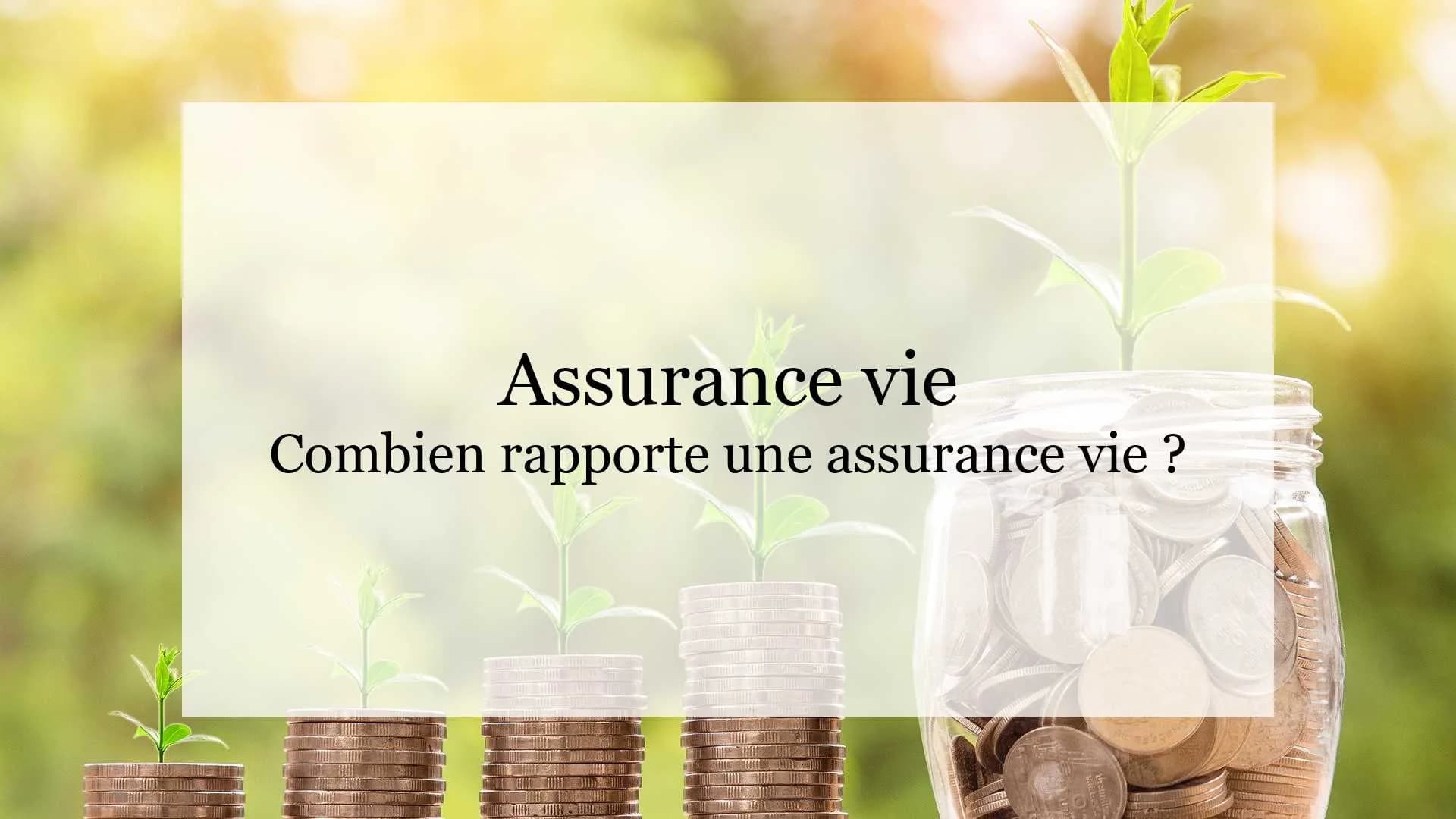 Combien rapporte une assurance vie ?