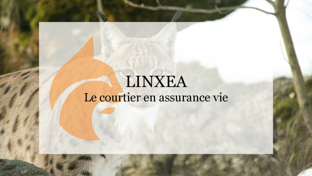 Avis Linxea